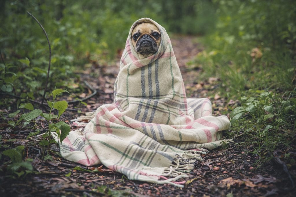 14 Ways To Keep Your Team's Spirits Up During The Colder Months