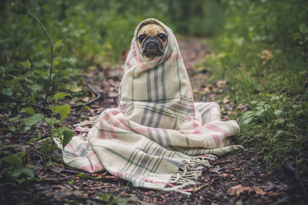 14 Ways To Keep Your Team’s Spirits Up During The Colder Months