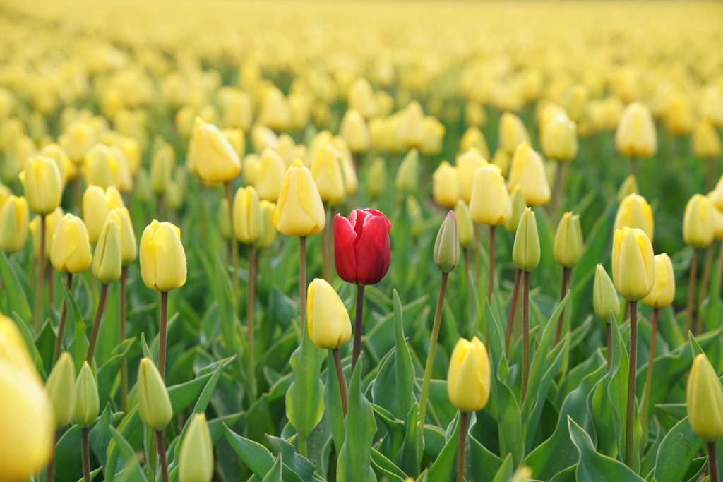 seeking investments? 14 smart ways to stand out