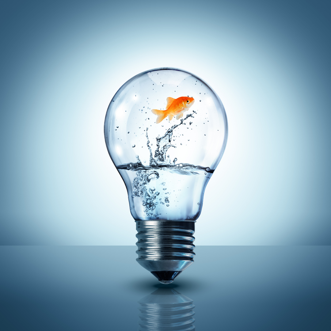 How Small Business Benefits From Federal Procurement Reforms