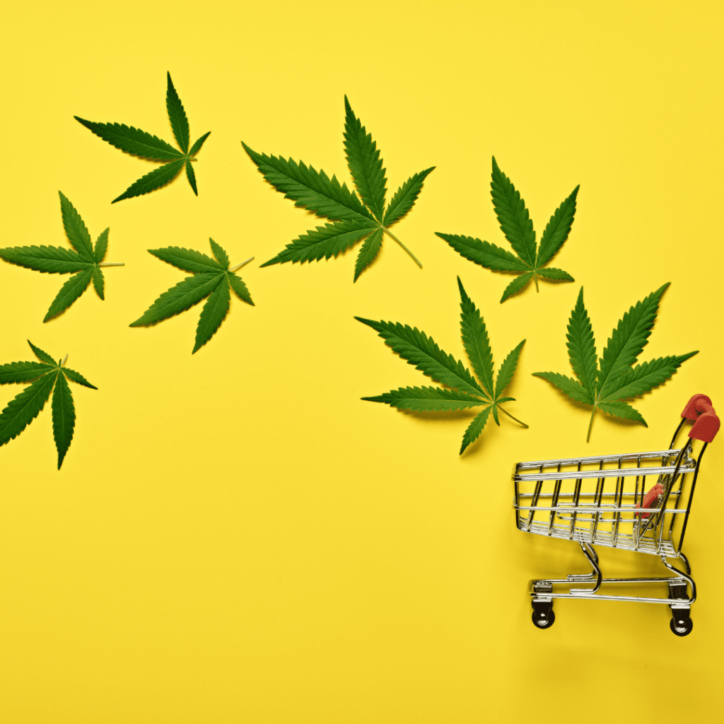 A picture of Marijuana and a toy shopping cart from The Bid Lab's featured bid page for a Marijuana Establishment RFQ.