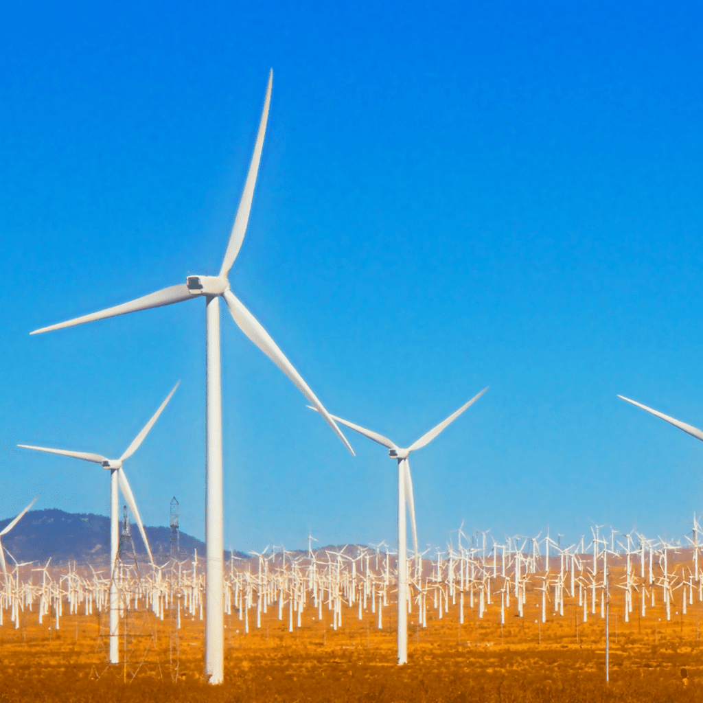 The Competitiveness Improvement Project provides financial and technical support to small wind turbine manufacturers. The Bid Lab™ can help walk your small business through winning business strategies for 2022.